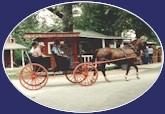 Relaxing Buggy Rides