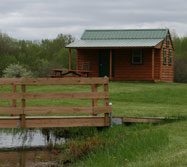 Come Stay at the Cabin