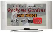 Watch Tv at Rockome Gardens
